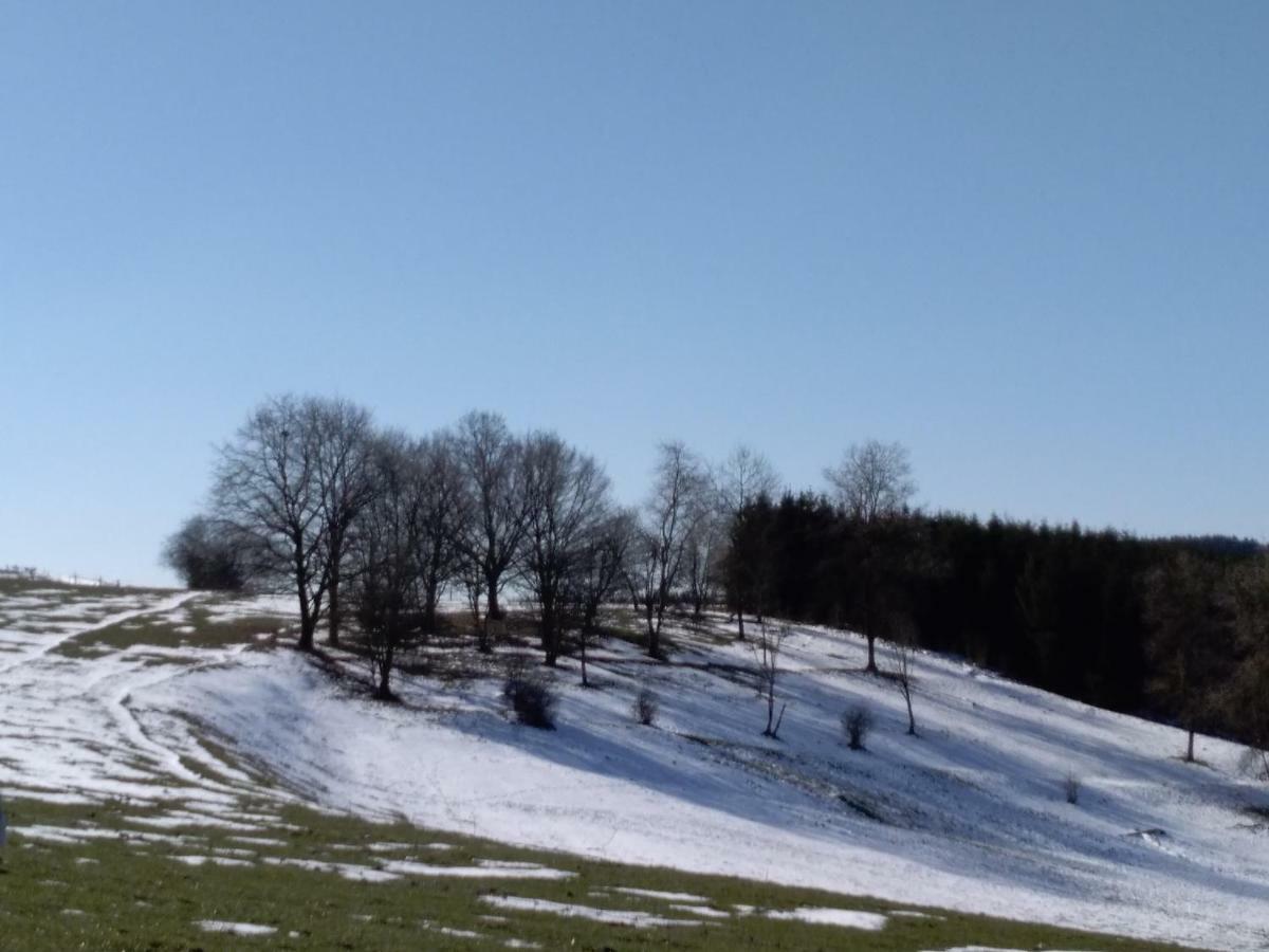 Appartamento Oh Deer! Vaux-sur-Sure Esterno foto